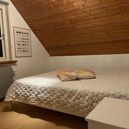 Velkommen Til Sohojlandet! *